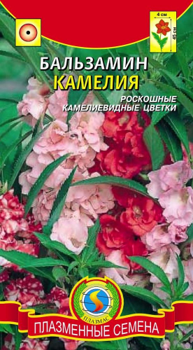 Бальзамин Камелия (роскошные камелиевидные цветки)