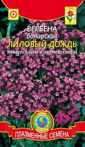 Вербена Бонарская Лиловый дождь (холодостойкое растение. Высотой 100-120см с зонтиковидными лиловыми соцветиями)