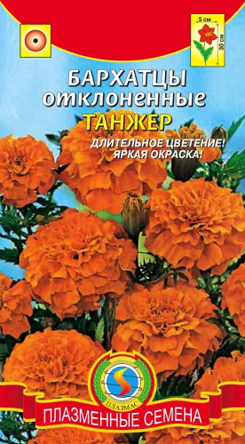 Бархатцы отклоненные Танжер (высотой 30см, соцветия до 5см, ярко-оранжевые цветки, длительное цветение)