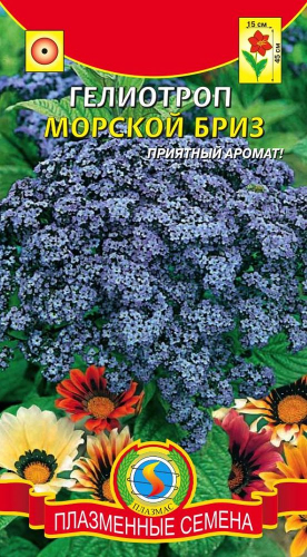 Гелиотроп Морской бриз (компактное растение высотой до 45см, темно-синие соцветия (до 15см в диаметре) источают душистый аромат. Цветет обильно с июня до осенних заморозков)