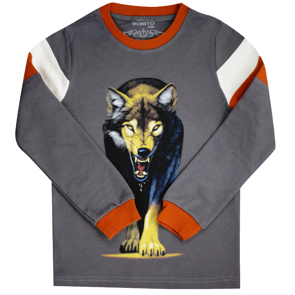 Лонгслив для мальчика Bonito Kids (BK181K) Серый