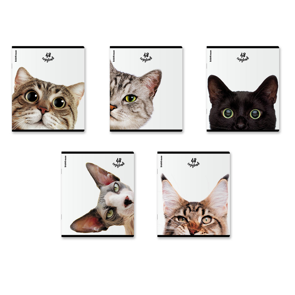 60р. 130р.Тетрадь общая ученическая ErichKrause Котики, 48 листов, клетка, матовая ламинация+выборочный УФ-лак_MIX-PACK