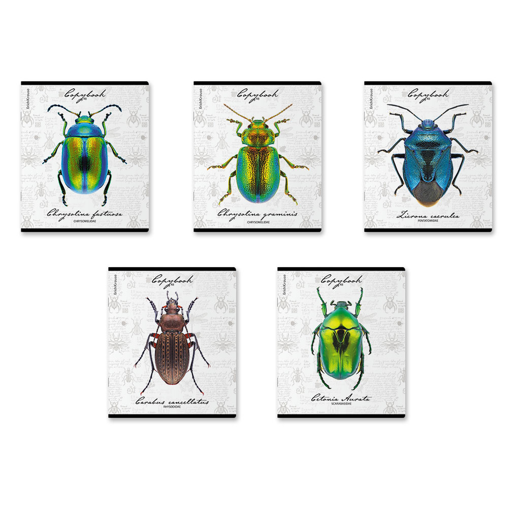 66р. 130р.Тетрадь общая ученическая ErichKrause Жуки, 48 листов, клетка, мат. лам.+выборочный УФ-лак+тиснение фольгой+конгрев, доп.лист_MIX-PACK