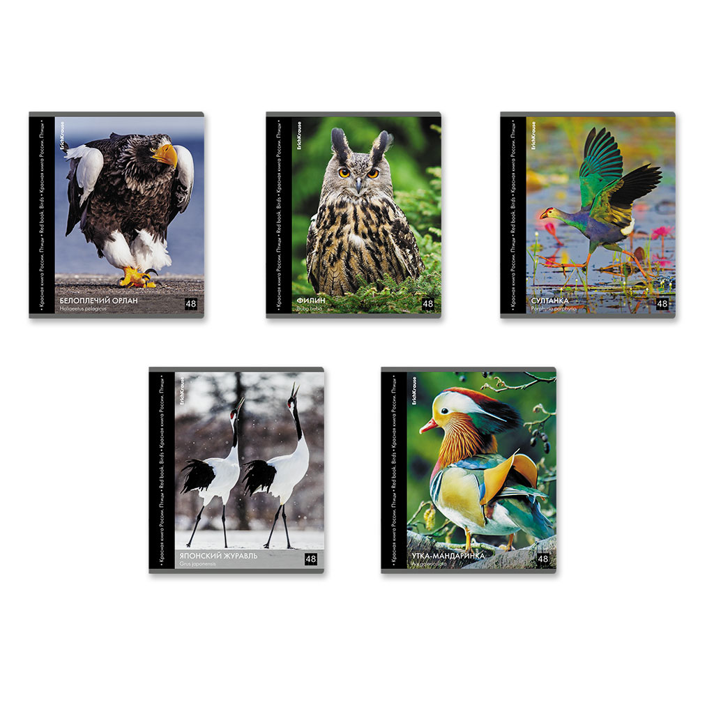 38р. 130р.Тетрадь общая ученическая ErichKrause Энциклопедия, Красная книга России. Птицы, 48 листов, клетка, глянцевая ламинация_MIX-PACK