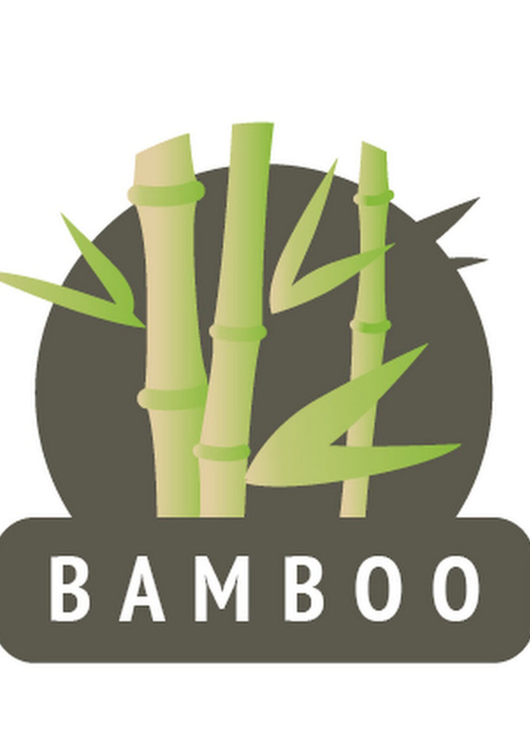 ст. цена200руб.! CLEVER Носки Б100Л