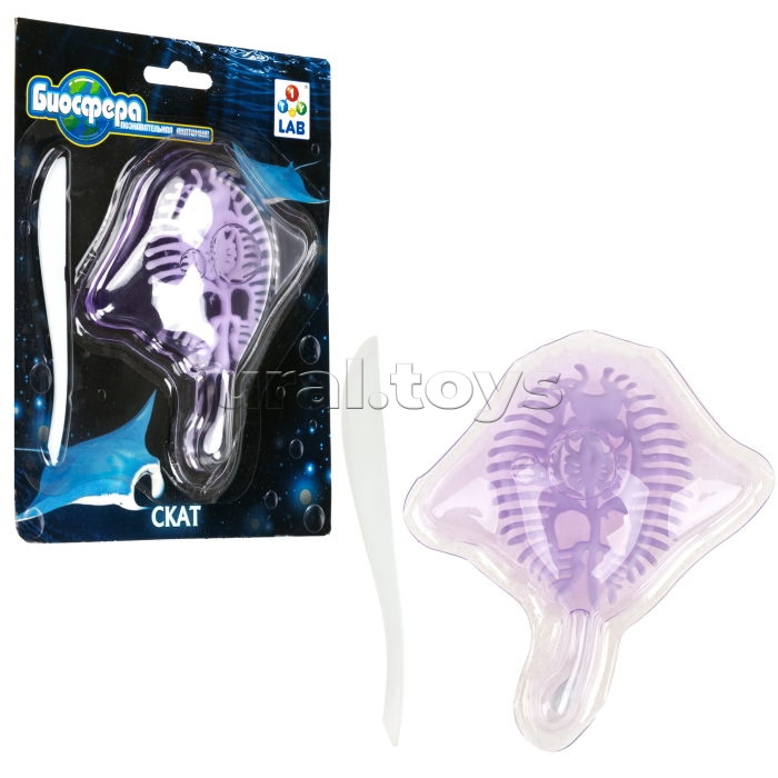 Познавательная анатомия, мини набор