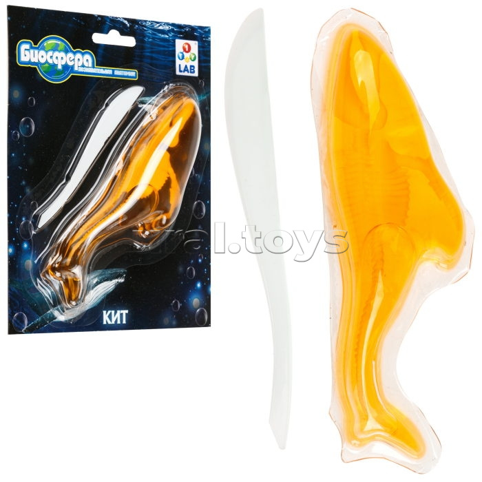 Познавательная анатомия, мини набор