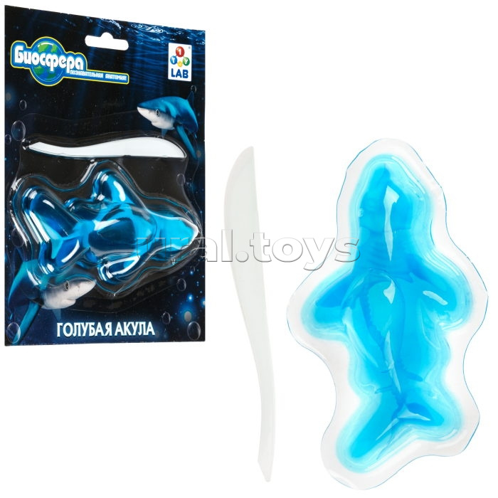 Познавательная анатомия, мини набор