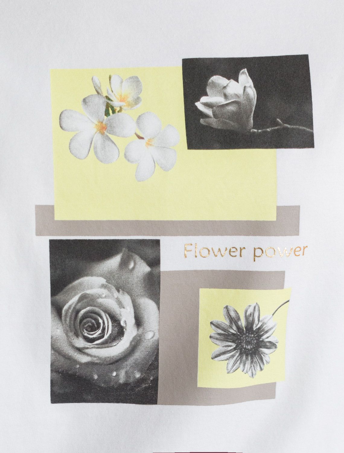 Свободная футболка с принтом из премиального хлопка с эастаном