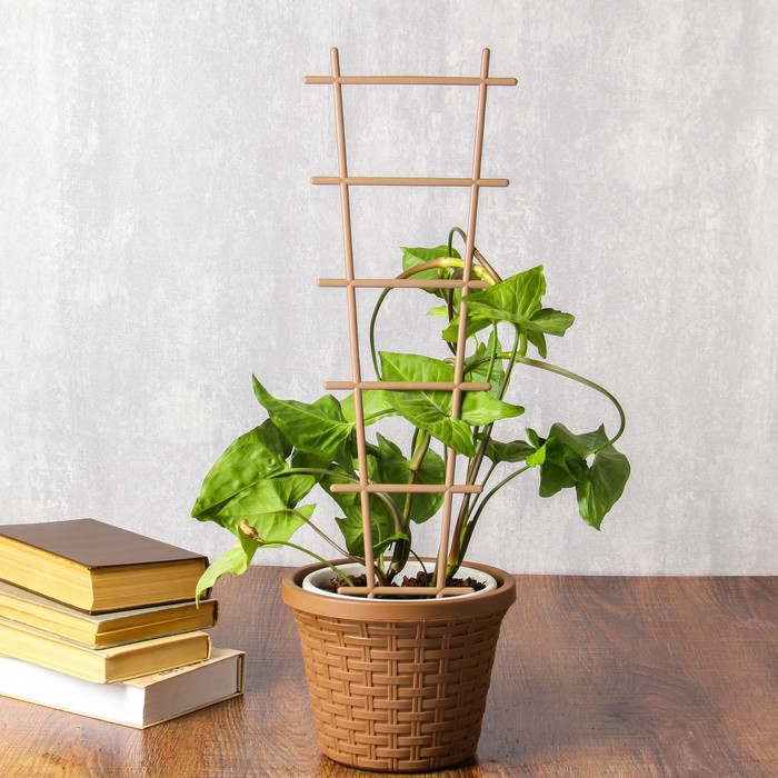 Шпалера, 56×19×0.5 см, пластик, цвет МИКС, «Лесенка»