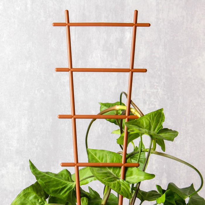 Шпалера, 56×19×0.5 см, пластик, цвет МИКС, «Лесенка»