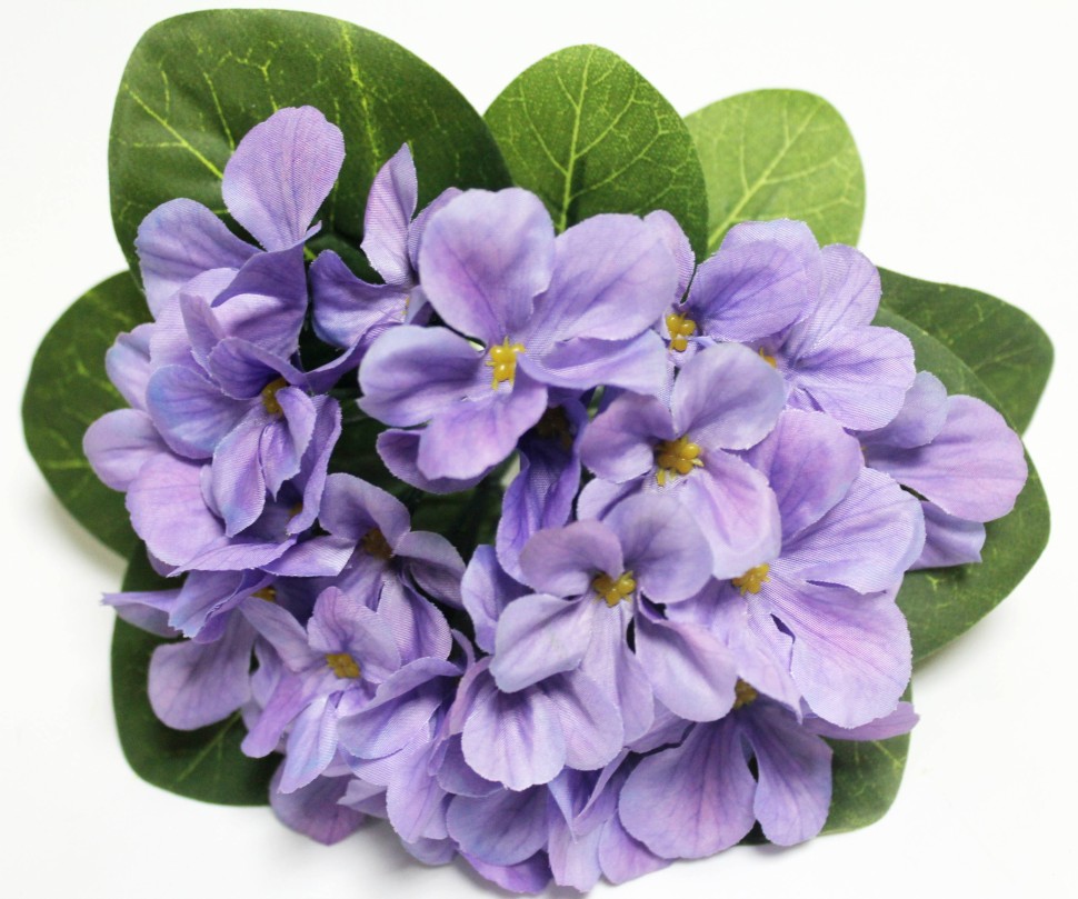 Б12226 Б/С Фиалка флористическая пышная 25 голов