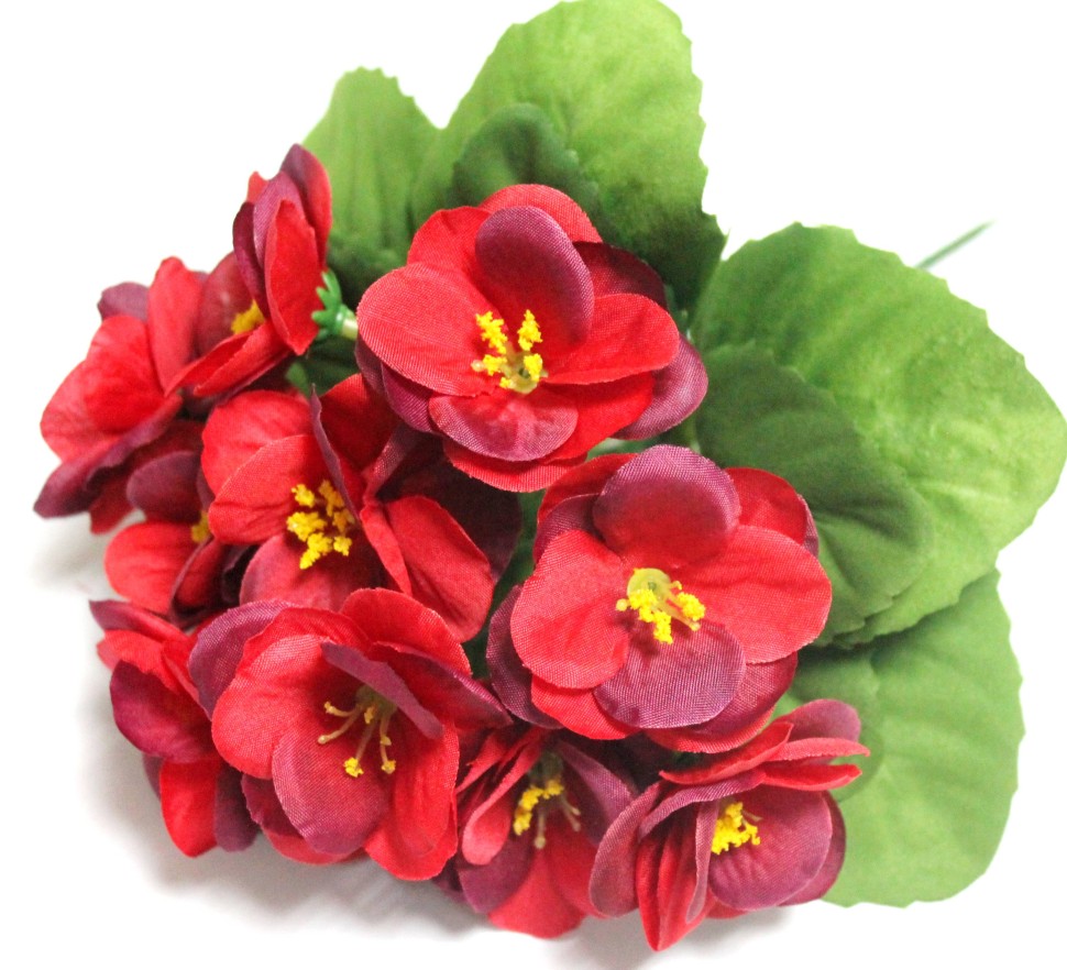 Б12227 Б/С Фиалка флористическая махровая 3 слоя 12гол.