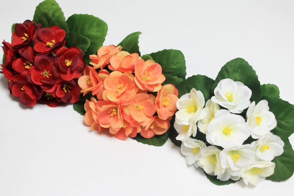 Б12227 Б/С Фиалка флористическая махровая 3 слоя 12гол.