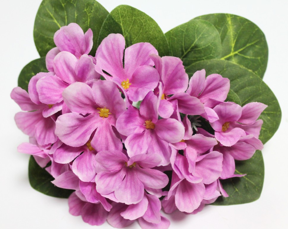 Б12226 Б/С Фиалка флористическая пышная 25 голов