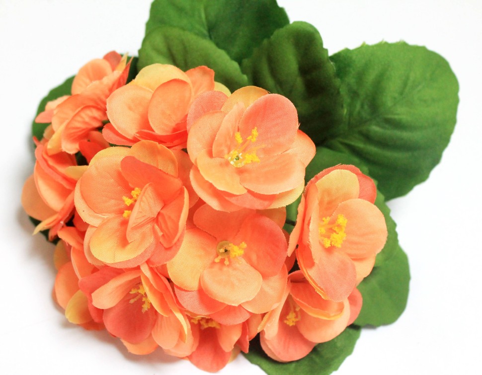 Б12227 Б/С Фиалка флористическая махровая 3 слоя 12гол.