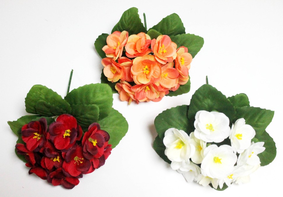 Б12227 Б/С Фиалка флористическая махровая 3 слоя 12гол.