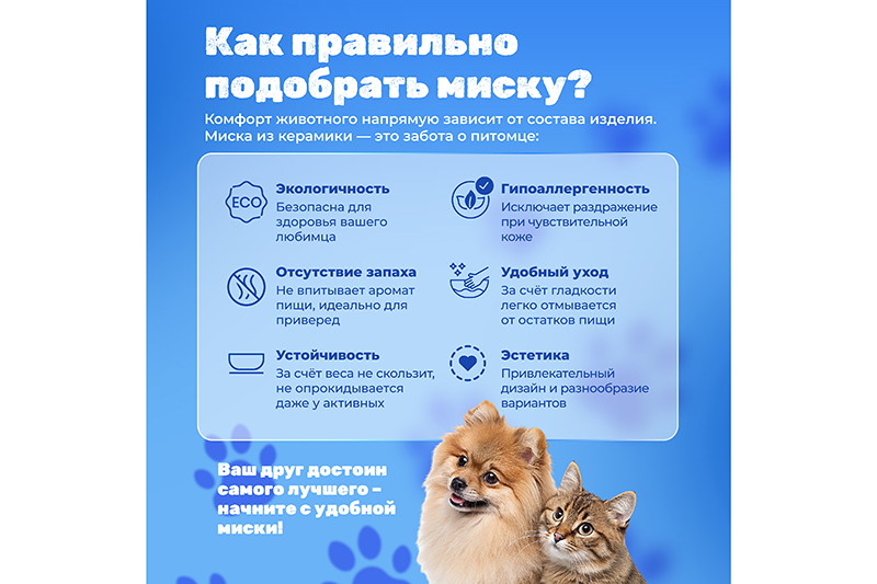 БЫЛО 749 руб! Набор 2 мисок для домашних питомцев 400 мл 13,5*13,5*5 см