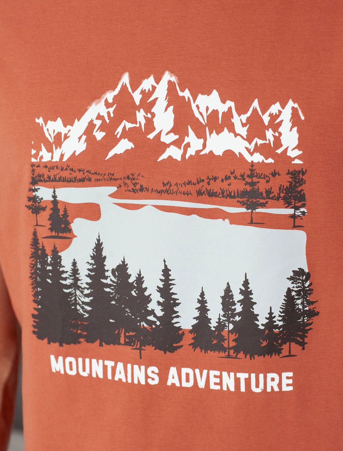 Ст.цена 1190р Футболка из премиального хлопка с авторским принтом U49.045 кирпичный_mountains adventure