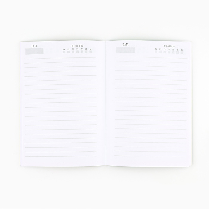 Ежедневник А5, 80 листов, недатированный, в мягкой обложке «Верь в мечту!»