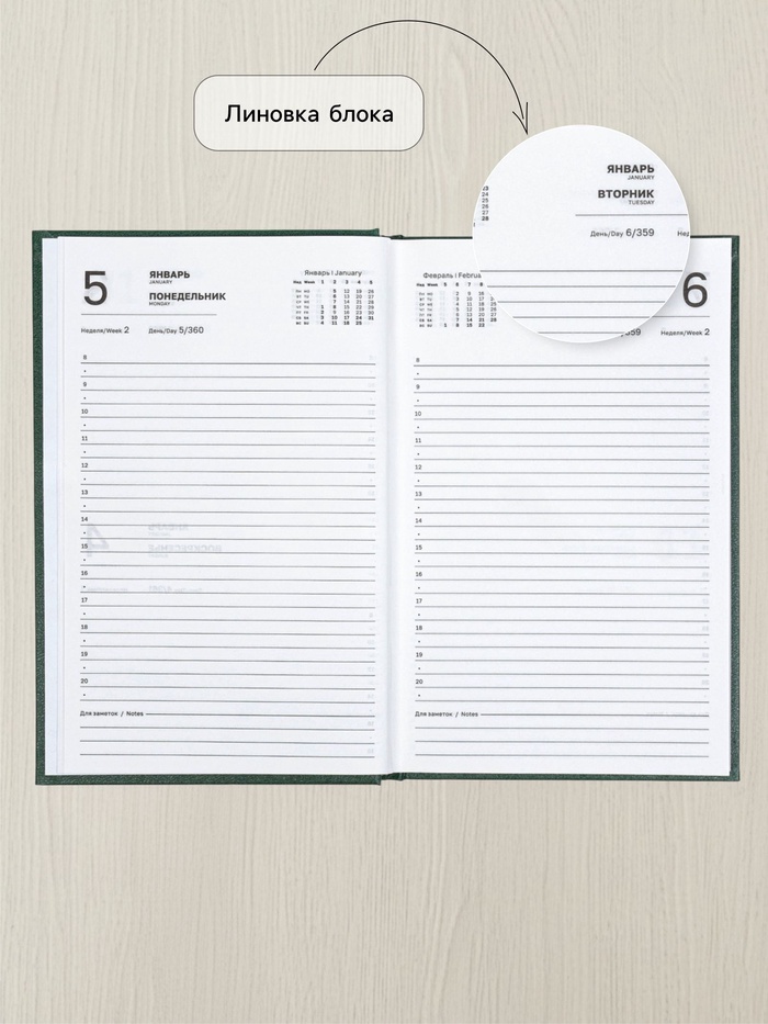 Ежедневник датированный Calligrata, А5, 2026, твёрдая обложка из бумвинила, 168 листов, тёмно-зелёный