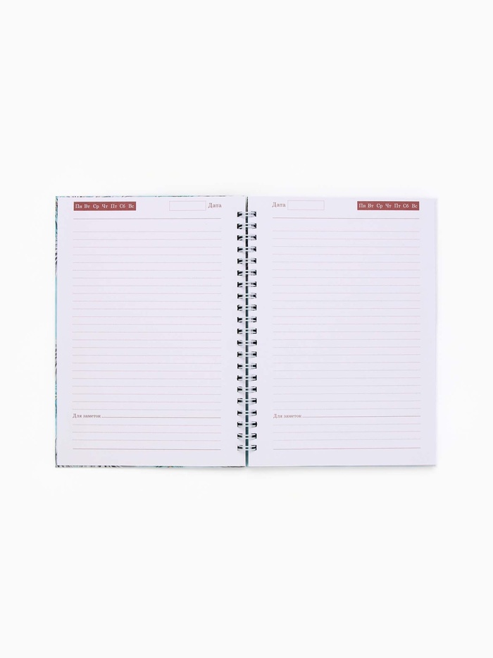 Ежедневник недатированный, А5, 80 л., твёрдая обложка, на гребне «Исполнения желаний»