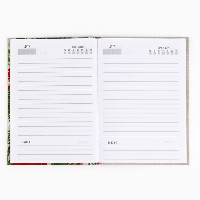 Ежедневник А5, 80 листов, недатированный, в твердой обложке «Пусть мечты сбудутся! Волшебство рядом»