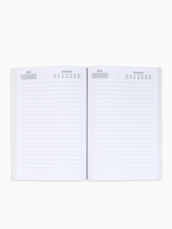 Ежедневник А5, 80 листов, недатированный, в мягкой обложке «Волшебства в этом году»