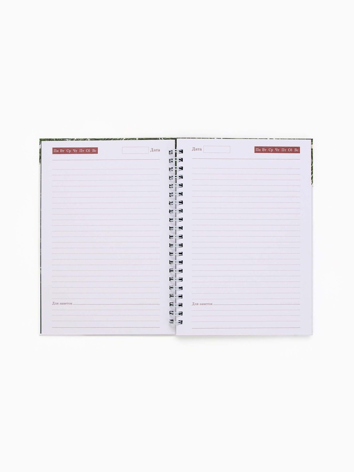 Ежедневник недатированный, А5, 80 л., твёрдая обложка, на гребне «Всё исполнит Новый Год»