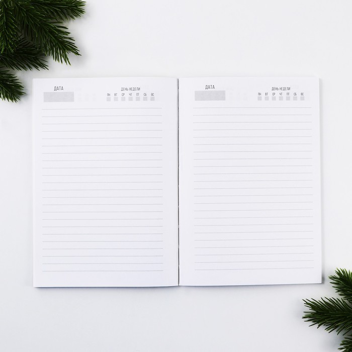 Ежедневник А5, 80 листов, недатированный, в мягкой обложке «Волшебного праздника»