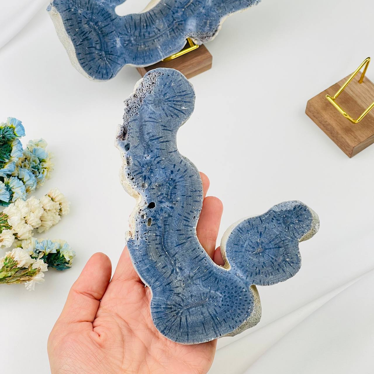 Радуга Самоцветов Срез Коралла