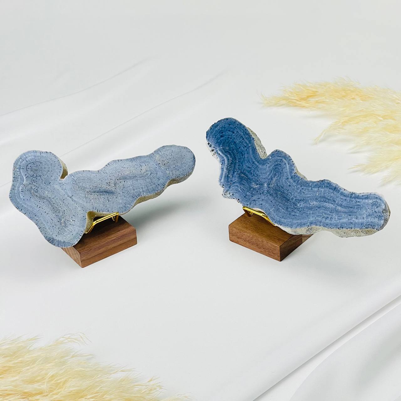 Радуга Самоцветов Срез Коралла