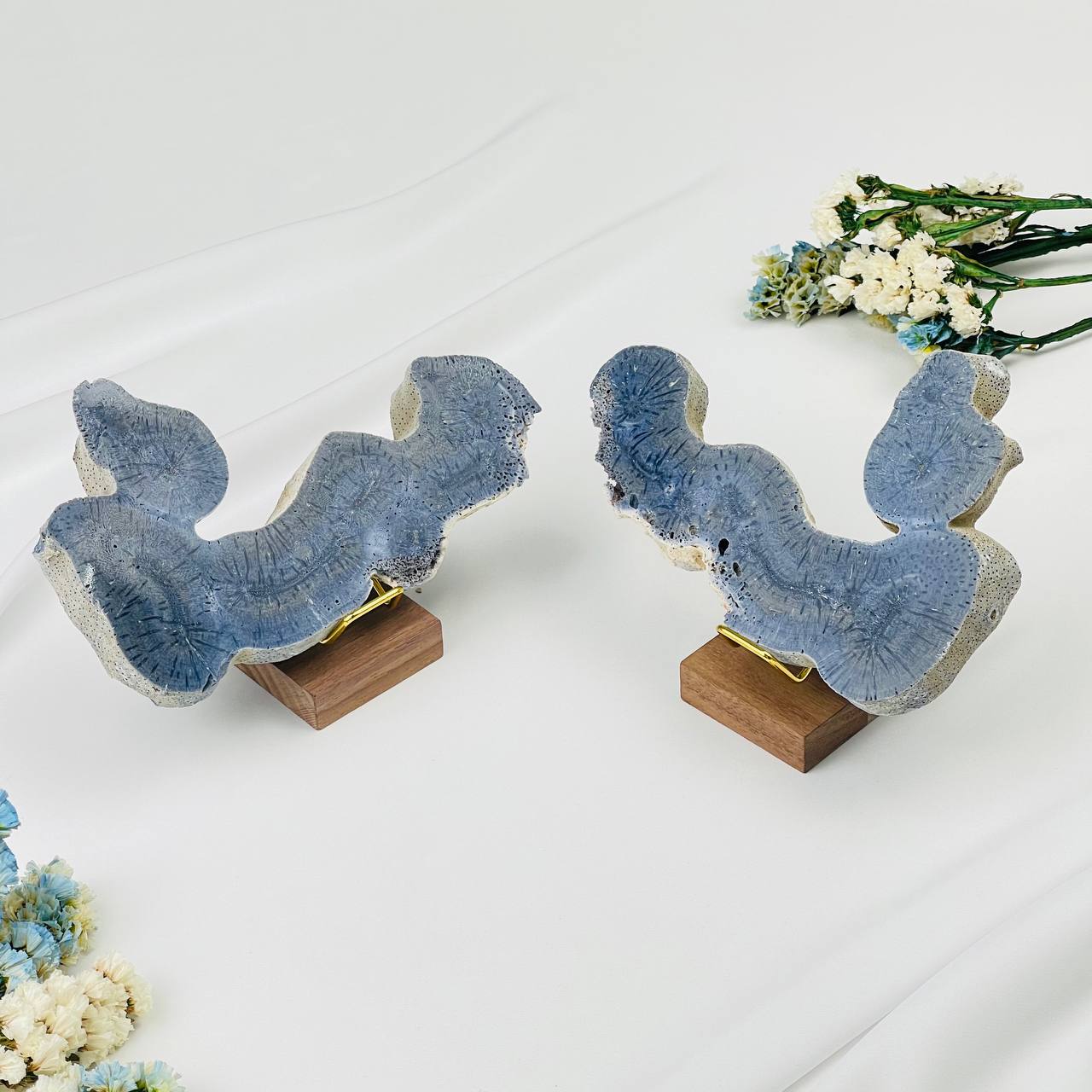 Радуга Самоцветов Срез Коралла