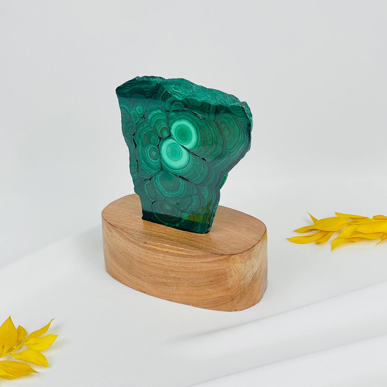 Радуга Самоцветов Срез Малахита на подставке