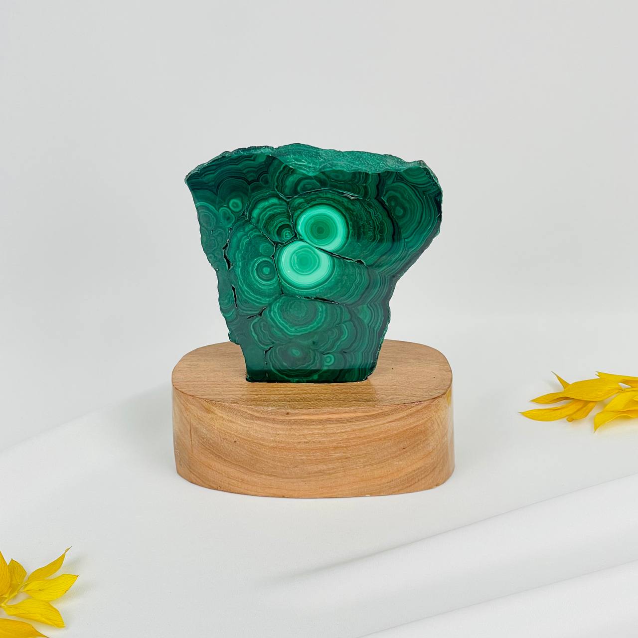 Радуга Самоцветов Срез Малахита на подставке