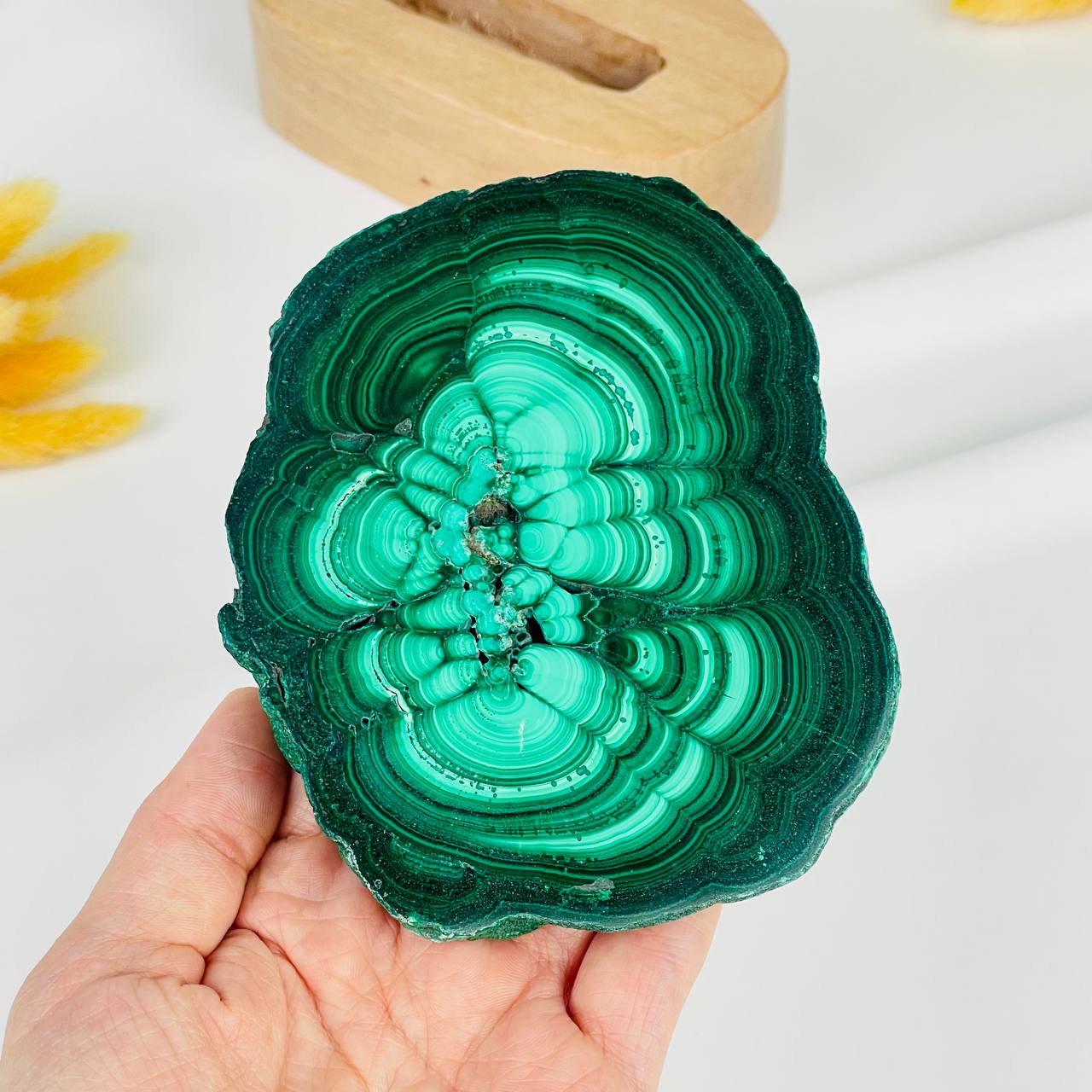 Радуга Самоцветов Срез Малахита на подставке