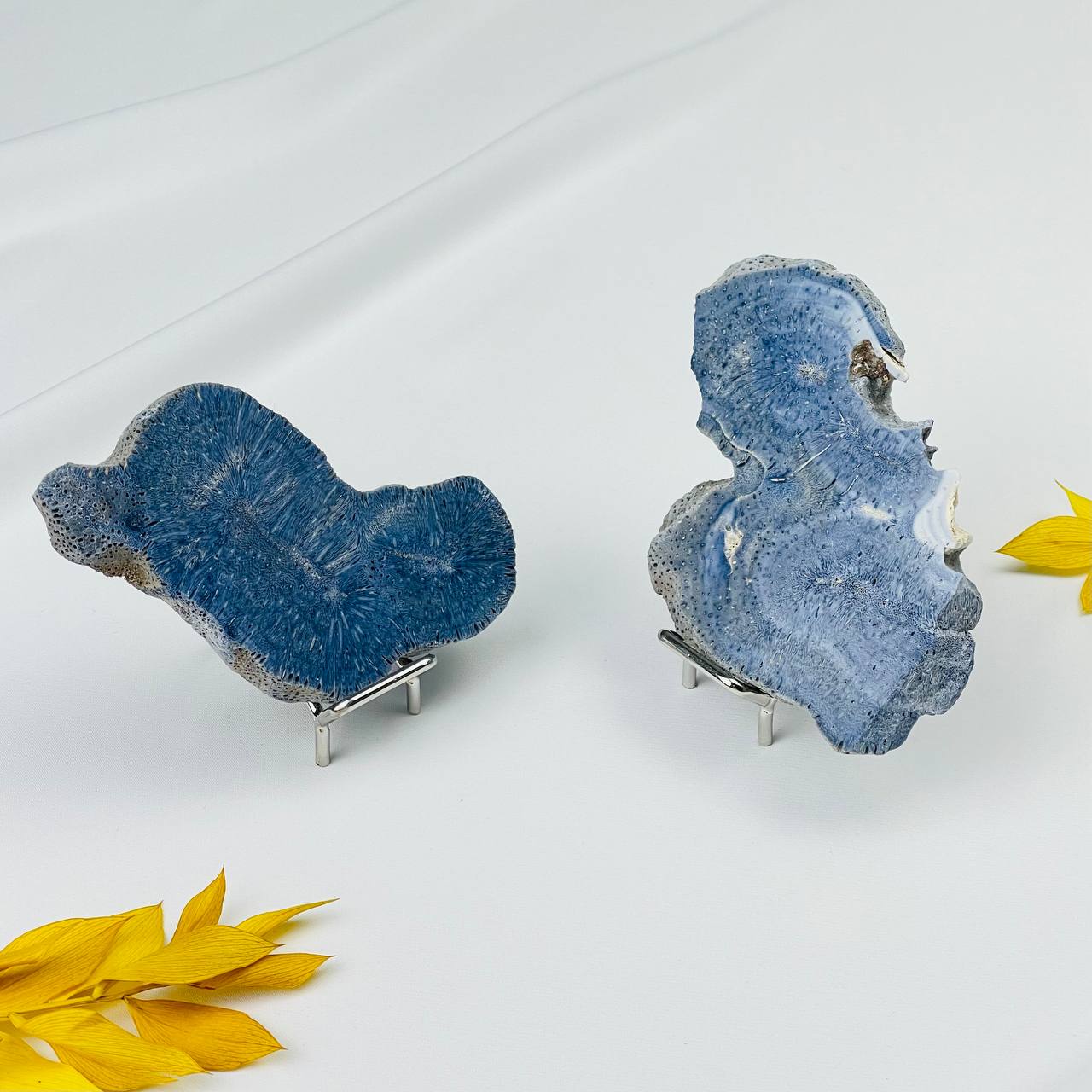 Радуга Самоцветов Срез Коралла