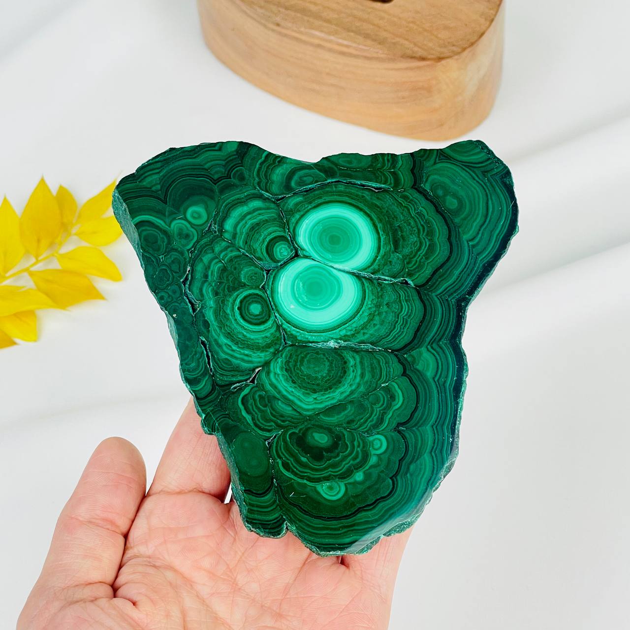 Радуга Самоцветов Срез Малахита на подставке