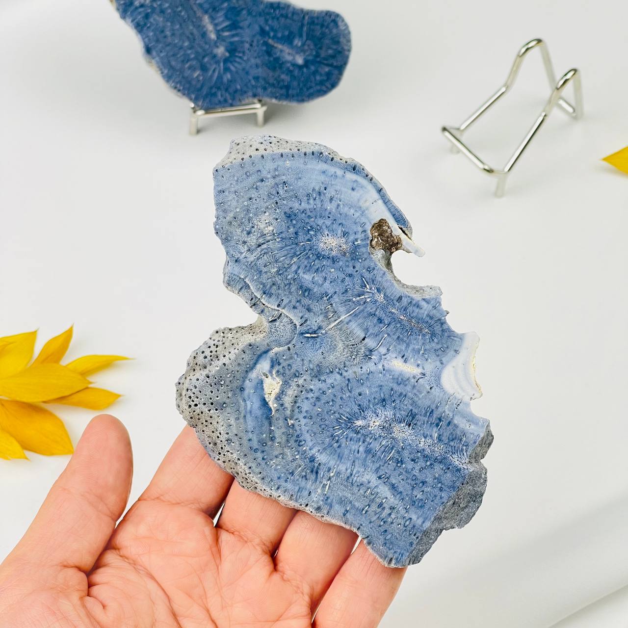 Радуга Самоцветов Срез Коралла