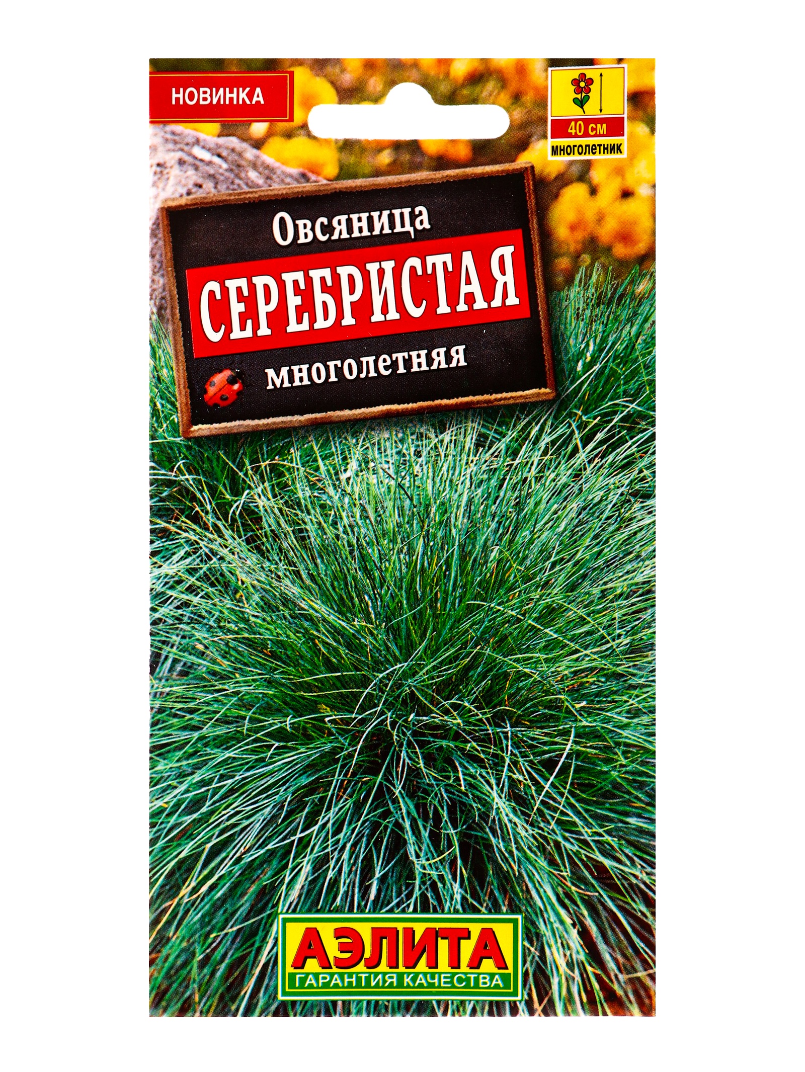 Семена цветов Овсяница Серебристая многолетняя Мн, Ц/П,5 шт.