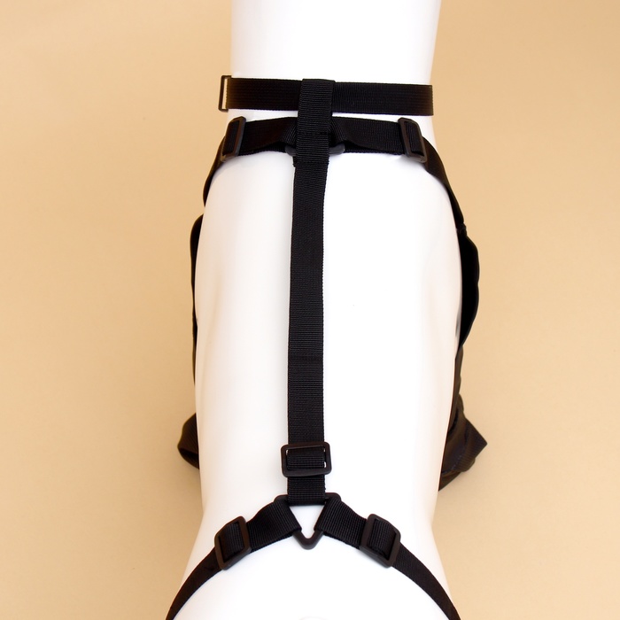 Ботинки - чулки для собак, размер L (Длина лап 41-50, ДС 18-28, ОШ 16-60см) черные