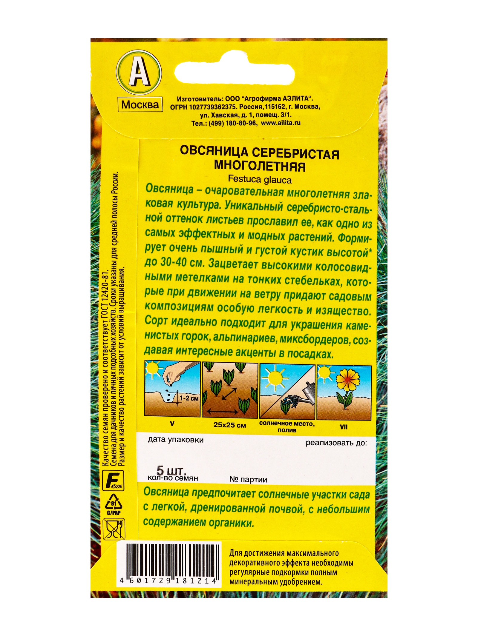 Семена цветов Овсяница Серебристая многолетняя Мн, Ц/П,5 шт.