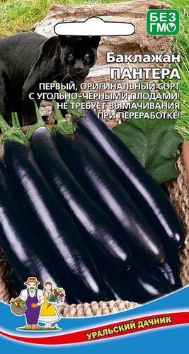 Баклажан Пантера // Уральский Дачник
