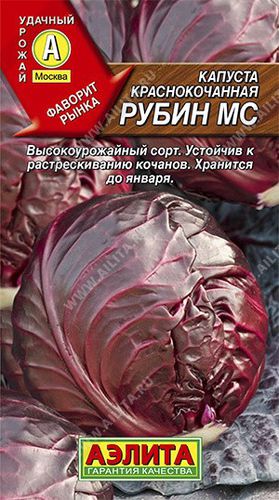 Капуста к/к Рубин МС // Аэлита