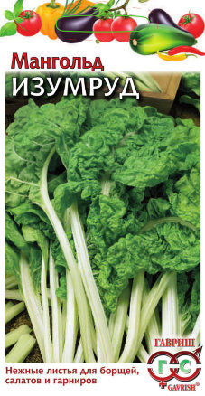 Мангольд Изумруд // Гавриш