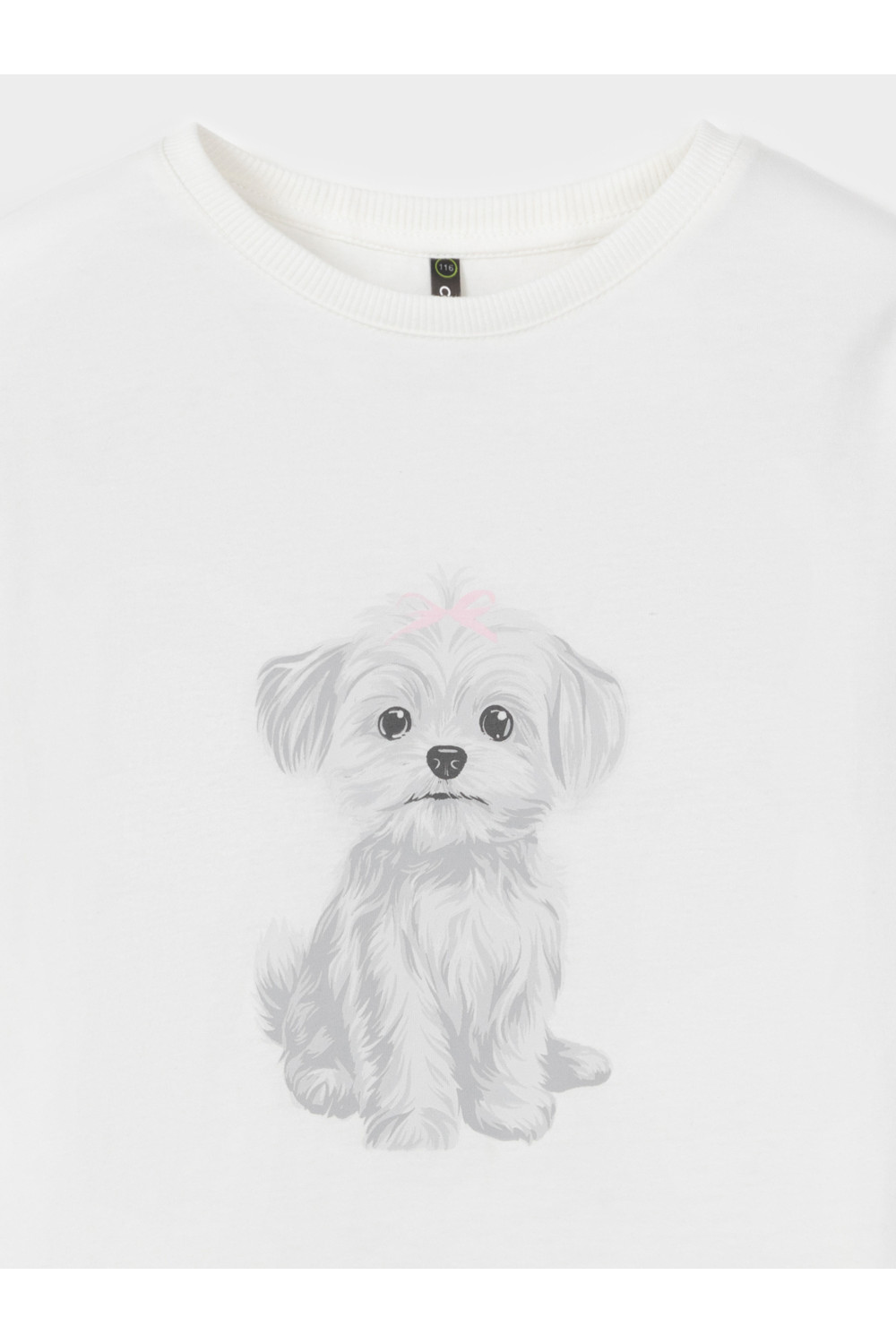 Crоckid Фуфайка КР 303033 молочный к733 Crоckid