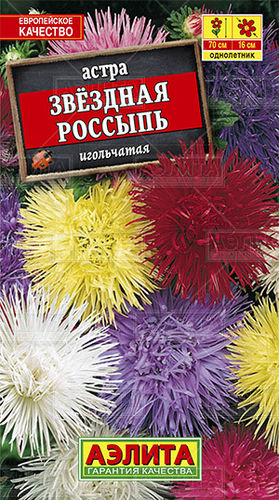 Ц Астра Звездная россыпь смесь // Аэлита