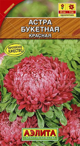 Ц Астра Букетная красная // Аэлита
