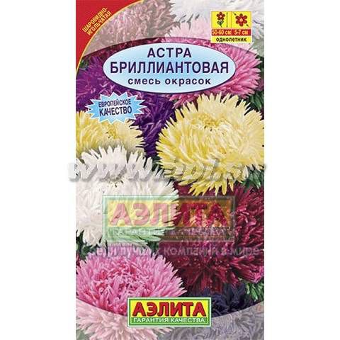 Ц Астра Бриллиантовая, смесь окрасок // Аэлита