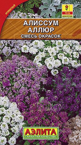 Ц Алиссум Аллюр смесь // Аэлита
